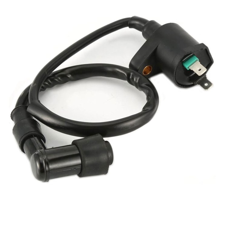 Bobina pit bike Standard 2 PIN Nero