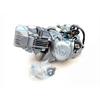 Motore ZS 190 2V ELECTRIC STARTER in Motori Completi
