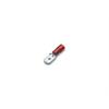 Capicorda/Fastom maschio Rosso 6,35x0,8  in Attrezzatura elettrica