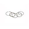 Fasce pistone 47 mm 50-70-90 cc in Ricambi Motore
