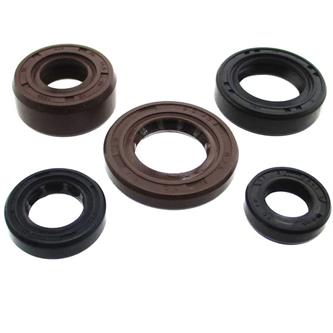 kit paraoli motore zs 190