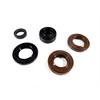 Kit paraoli motore GPX/ZS 155 in Ricambi Motore