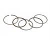 Fasce pistone 55 mm in Ricambi Motore