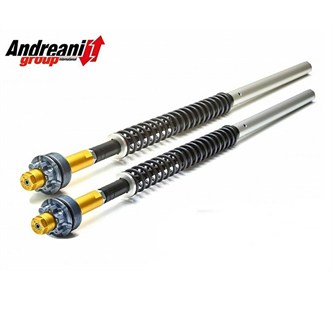 kit cartuccia forcella regolabile per ohvale gp0