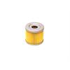Filtro olio GPX 155 - ZS 155 in Ricambi Motore
