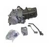 Motore ZS 190 2V KICK STARTER in Motori Completi