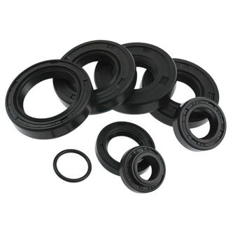 kit paraoli motore am6