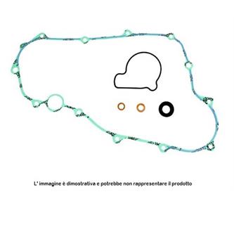 guarnizioni pompa acqua husqvarna 250 te 17 19