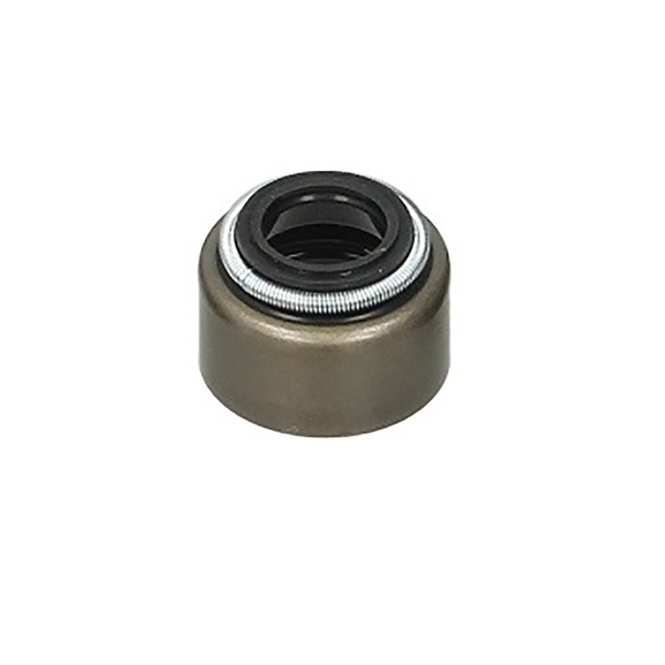 Paraolio stelo valvole Yamaha YZ 250 F (2001-2013)