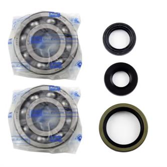 kit cuscinetti e paraolio