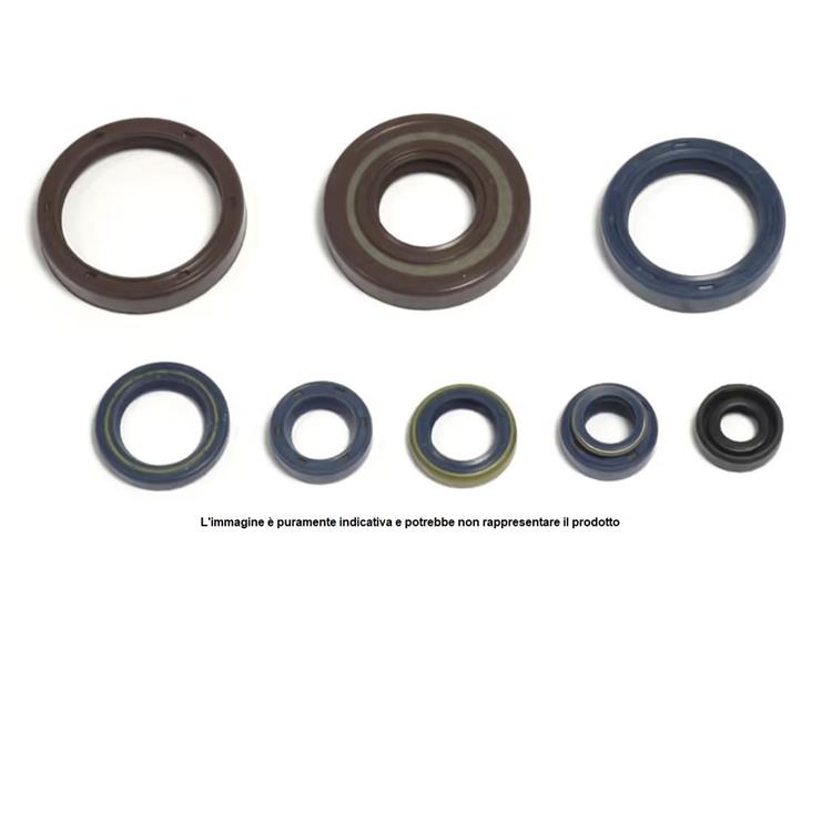 Serie paraolio motore NRTeam KTM 250 EXC (17-22)
