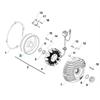 Rotore accensione TM 125 SMR-FI (2020-2022) in Parti elettriche motard