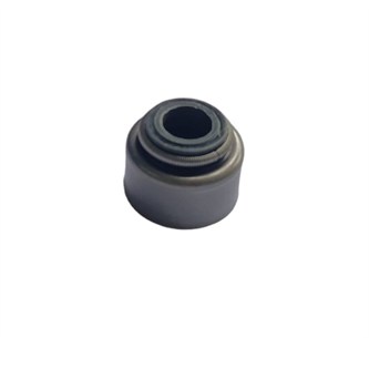 paraolio valvola aspirazione ktm 450 exc 03 23