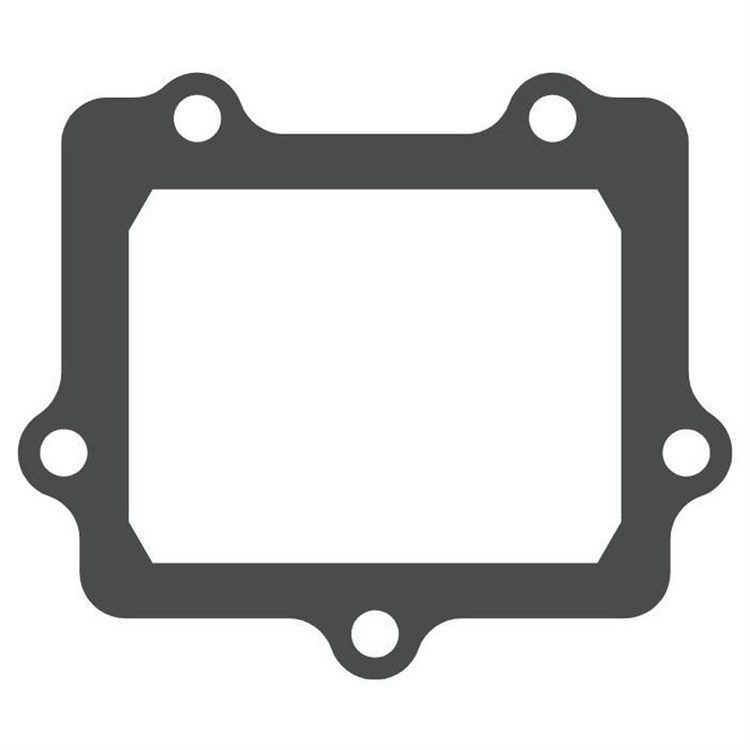 Pacco lamellare Kawasaki KX 250 (2005-2008) - V-Force 3 (solo guarnizione)