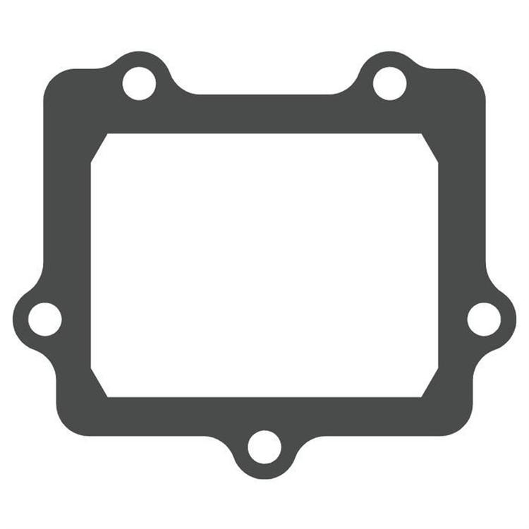 Pacco lamellare Kawasaki KX 250 (2005-2008) - V-Force 3 (solo guarnizione)
