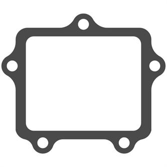 pacco lamellare fantic 250 xx 2022 2025 v force 4 x solo guarnizione