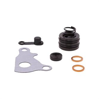 kit revisione pinza freno gasgas 300 ec f 2013 2015 anteriore