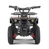 Miniquad elettrico 800 Watt Hiro Tiger 6