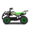 Miniquad elettrico 800 Watt Hiro Tiger 6