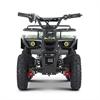 Miniquad elettrico 800 Watt Hiro Tiger 6