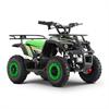 Miniquad elettrico 800 Watt Hiro Tiger 6