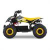 Miniquad elettrico 800 Watt Hiro Cobra 6