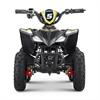 Miniquad elettrico 800 Watt Hiro Cobra 6
