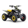Miniquad elettrico 800 Watt Hiro Cobra 6