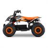 Miniquad elettrico 800 Watt Hiro Cobra 6