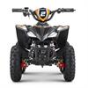 Miniquad elettrico 800 Watt Hiro Cobra 6