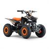 Miniquad elettrico 800 Watt Hiro Cobra 6