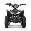 Miniquad elettrico 800 Watt Hiro Cobra  6