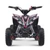 Miniquad 110 cc Hiro Cobra Rosa 6