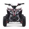Miniquad 110 cc Hiro Cobra Rosso 6