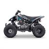 Quad 250 cc Odjar Predator [per adultii] in Minimoto e Miniquad