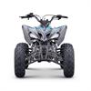 Quad 250 cc Odjar Predator [per adultii] in Minimoto e Miniquad