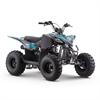 Quad 125 cc Odjar Predator in Minimoto e Miniquad
