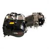 Motore YX 125 cc - 4 marce Evomotor in PitBike e MiniGP