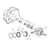 Albero motore Daytona 190-212 in PitBike e MiniGP
