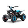 Miniquad elettrico 800 Watt Hiro Cobra 6