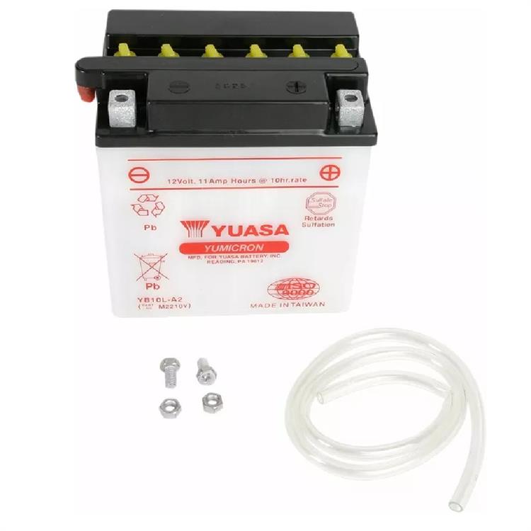 Batteria Yuasa YB10L-A2 Yamaha XV 250 Virago (1995-2007)