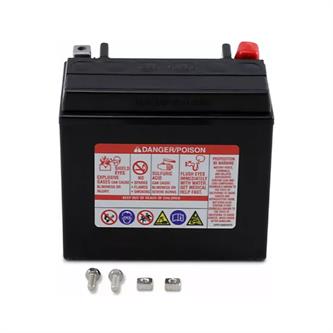 batteria yuasa ytx12 battery group honda atc 250 es big red 85 87