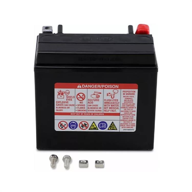 Batteria Yuasa YTX12 Piaggio Beverly 125 Mic (2007)