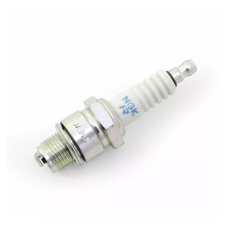Candela BMW F 900 XR ABS (2021-2024) NGK