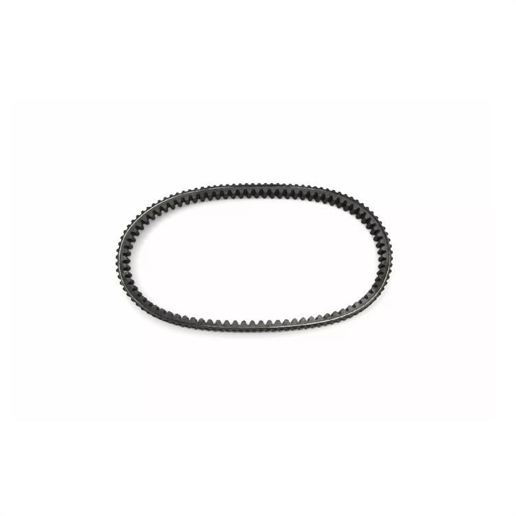 Cinghia Trasmissione Sym Jet 14 125 CBS Liquid (2019) JT