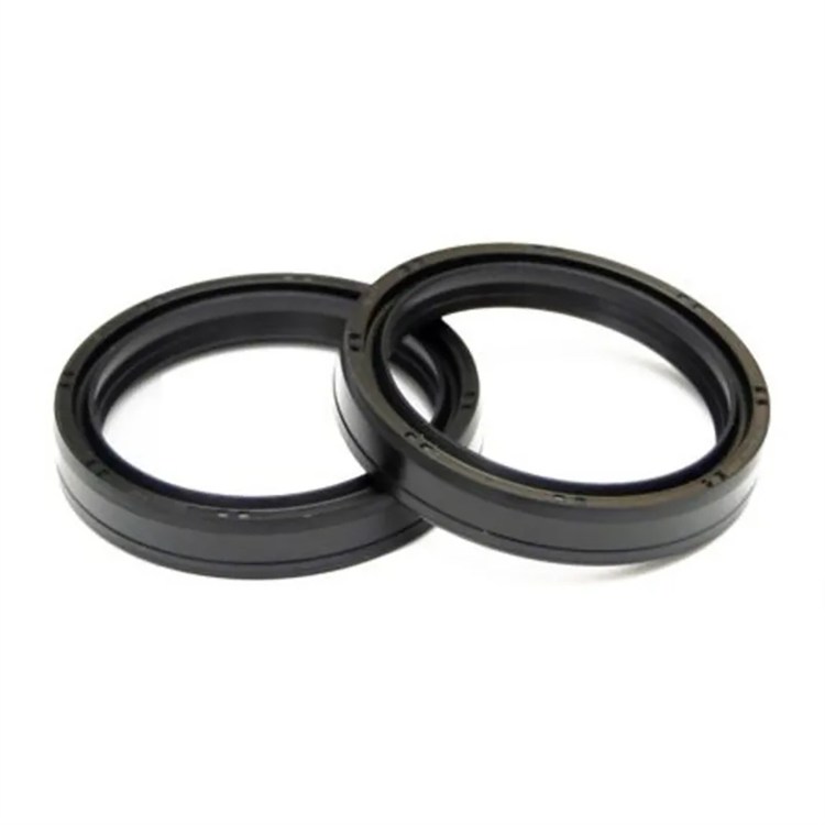 Coppia paraolio forcella Ducati Desmo 450 MX (2025) NOK 