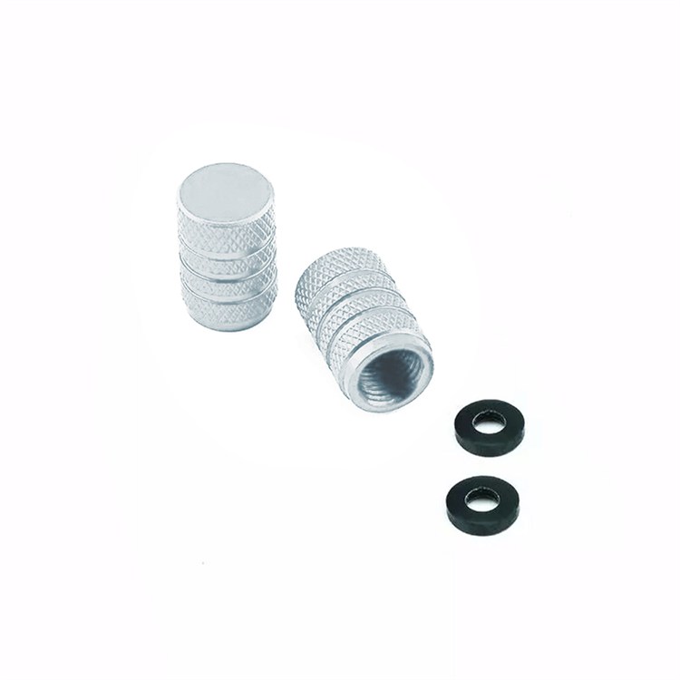 Coppia tappi valvola Gas Gas HP Wild 240 (2004) Argento Pro Bolt