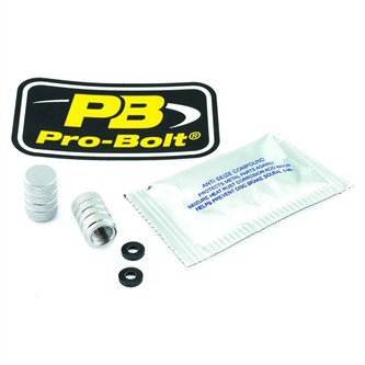 coppia tappi valvola polaris sl 750 93 95 argento pro bolt