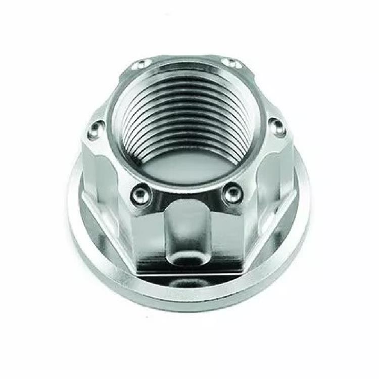 Dado perno ruota posteriore acciaio inox Suzuki DL 650 ABS V Strom (2007-2011) Pro Bolt