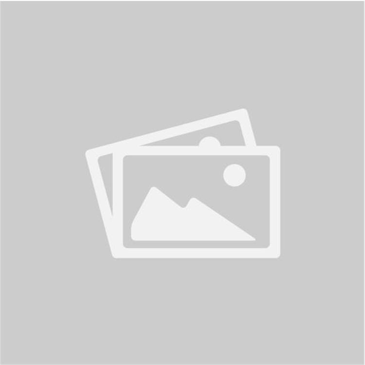 Supporto pinza freno posteriore originale Ohvale GP2 (2021-2025) 